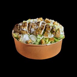 Chicken Caesar Salad
